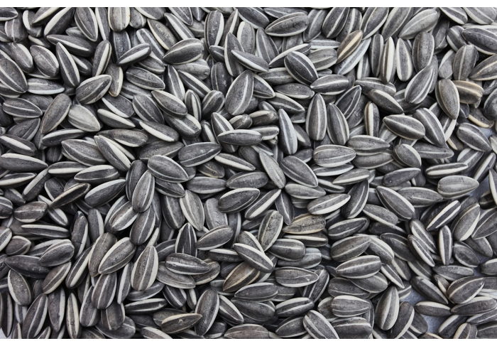 Ai Weiwei Sunflower Seeds